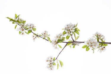 Similar image 10868702