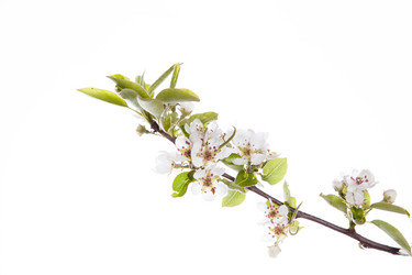 Similar image 10868704