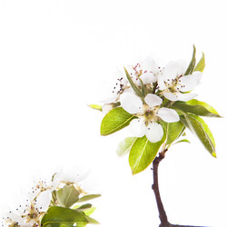 Similar image 10868707