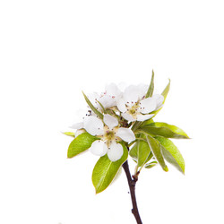 Similar image 10868738