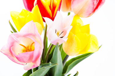 Similar image 10868745