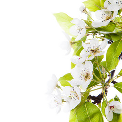 Similar image 10868750