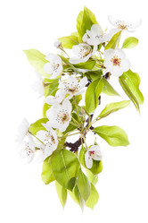 Similar image 10868752