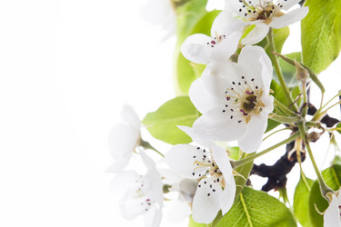 Similar image 10868754