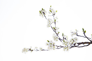 Similar image 10868756