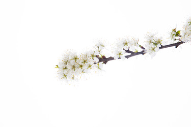 Similar image 10868784