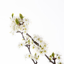 Similar image 10868787