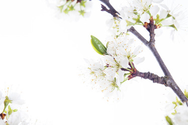 Similar image 10868789