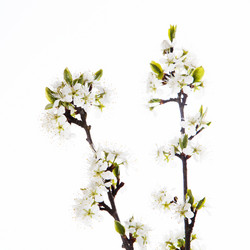 Similar image 10868790