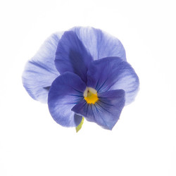 Similar image 10868796