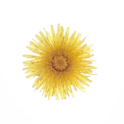 Similar image 10868803