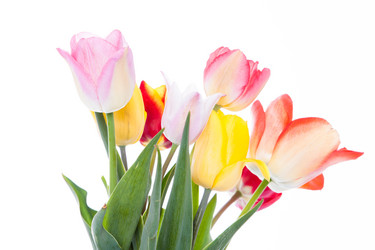 Similar image 10868804