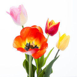 Similar image 10868818