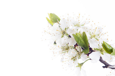 Similar image 10868821