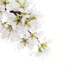 Similar image 10868822