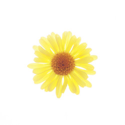 Similar image 10868825