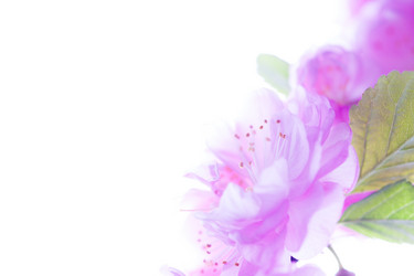 Similar image 10868826