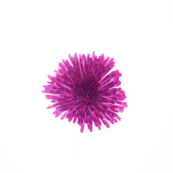 Similar image 10868520