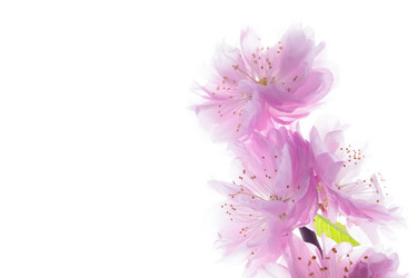 Similar image 10868522