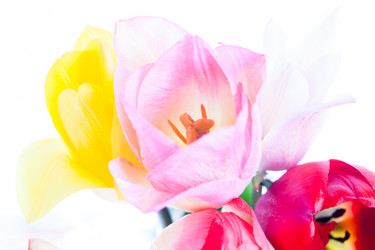 Similar image 10868561