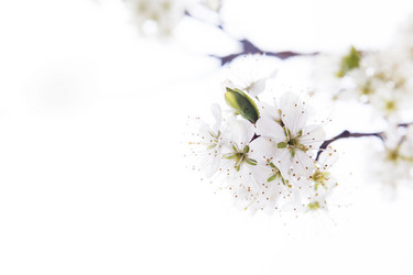 Similar image 10868565