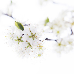 Similar image 10868678