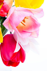 Similar image 10868682