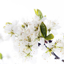 Similar image 10868684