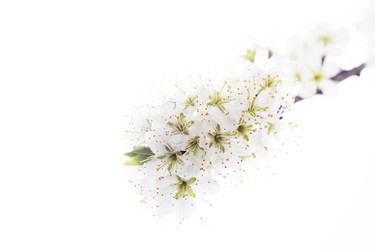 Similar image 10868686