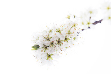 Similar image 10868659