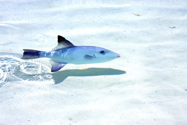 Similar image 10882843