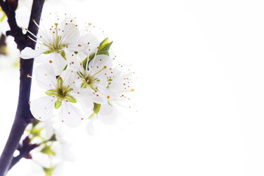 Similar image 10868808