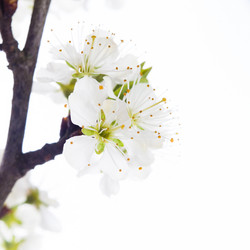 Similar image 10868811