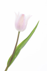 Similar image 10868832