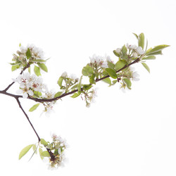 Similar image 10868917