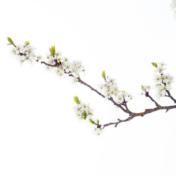 Similar image 10868918