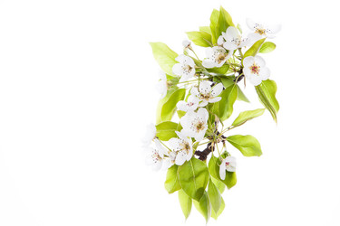 Similar image 10868919