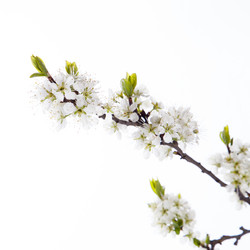 Similar image 10868529