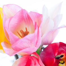 Similar image 10868531