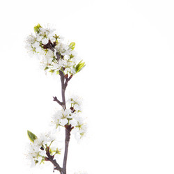 Similar image 10868533