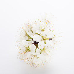 Similar image 10868535