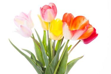 Similar image 10868537