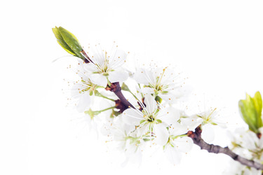 Similar image 10868567