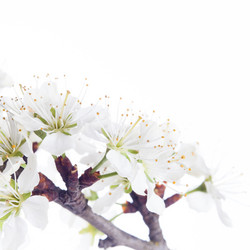 Similar image 10868568