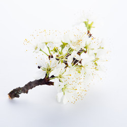 Similar image 10868569