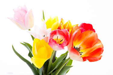 Similar image 10868570