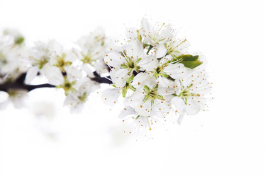 Similar image 10868571