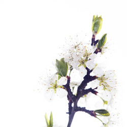 Similar image 10868572