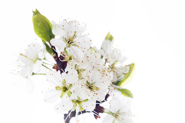 Similar image 10868573