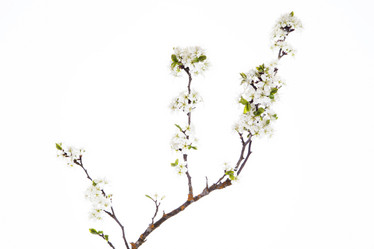 Similar image 10868574